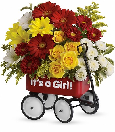 Baby&#039;s Wow Wagon - Girl